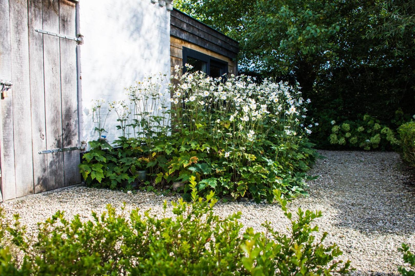Stee 23 Bed & Breakfast Hertsberge Exterior photo